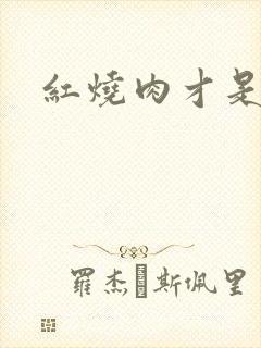 红烧肉才是真爱