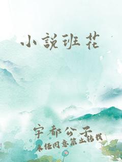 小说班花