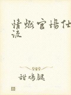 情燃官场仕途风流