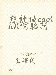 想被他cao(h)(啊肥阿