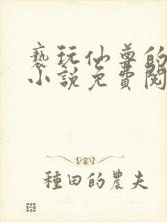 亵玩仙尊的道侣小说免费阅读