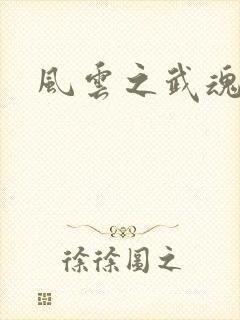 风云之武魂