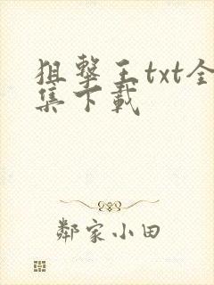 狙击王txt全集下载