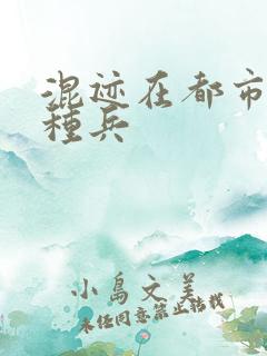 混迹在都市的特种兵