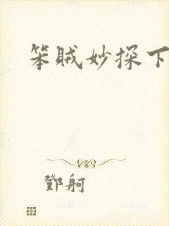 笨贼妙探下载