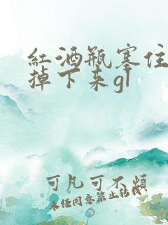 红酒瓶塞住不准掉下来gl