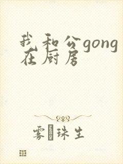 我和公gong在厨房
