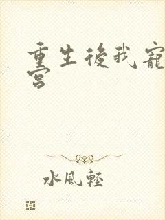 重生后我宠冠东宫