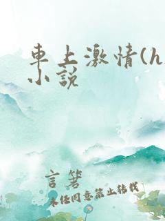 车上激情(h)小说