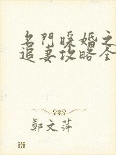 名门暖婚之权爷追妻攻略全文免费阅读