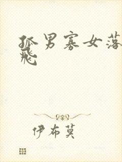 孤男寡女落瑛纷飞