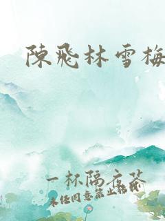 陈飞林雪梅
