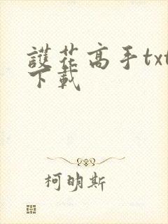 护花高手txt下载