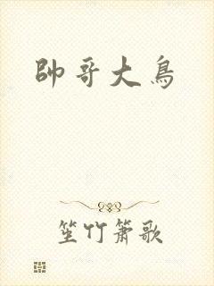 帅哥大鸟