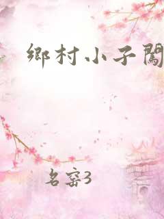 乡村小子闯都市