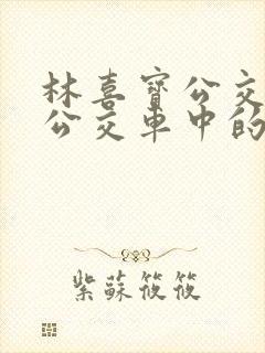 林喜宝公交车(公交车中的林喜宝)