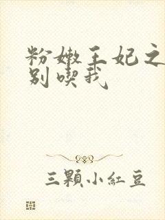 粉嫩王妃之殿下别吃我