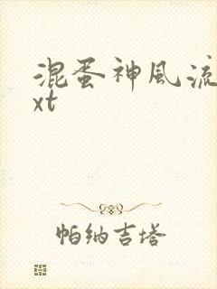 混蛋神风流史txt