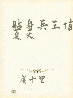 贴身兵王俏总裁夏天