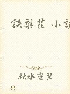 铁梨花 小说