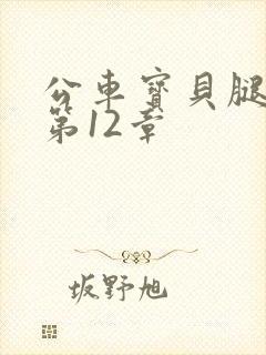 公车宝贝腿开点第12章