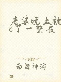 老婆晚上被躁狂c了一整夜