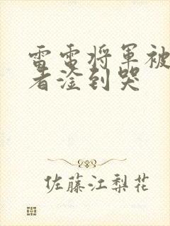 雷电将军被旅行者淦到哭