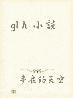gl h 小说