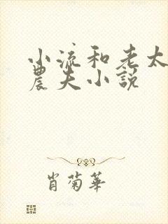 小流和老太69农夫小说