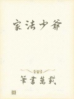 家法少爷