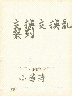 交换交换乱杂烩系列