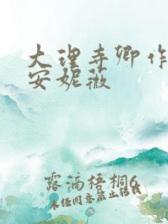 大理寺卿作者:安妮薇