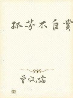 孤芳不自赏小说