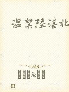 温絮陆湛北