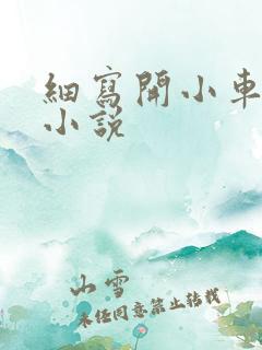 细写开小车车的小说