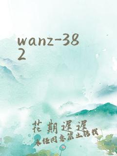 wanz-382