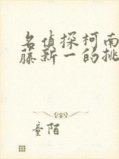 名侦探柯南给工藤新一的挑战书