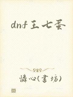 dnf王七蛋