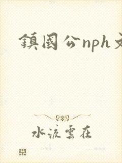 镇国公nph文