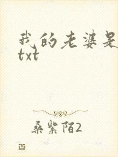 我的老婆是警察txt