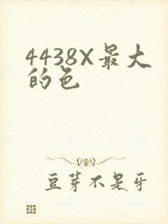 4438X最大的色