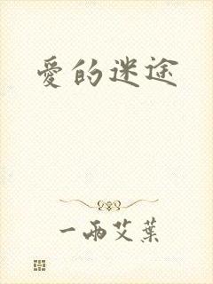 爱的迷途