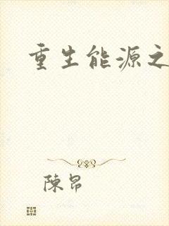 重生能源之王
