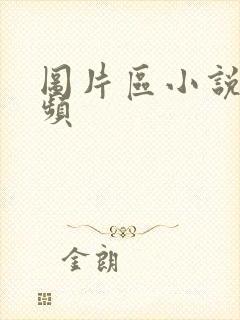 图片区小说区视频