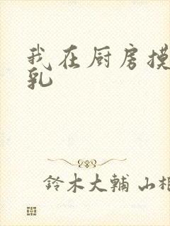 我在厨房摸岳的乳