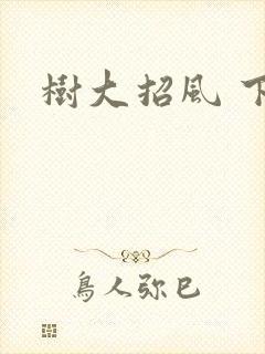 树大招风 下载