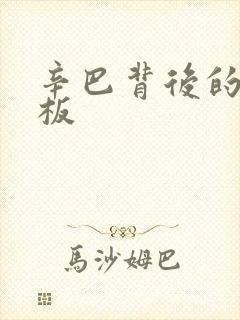 辛巴背后的人老板