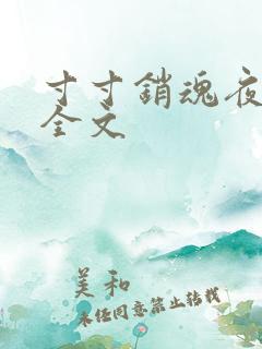 寸寸销魂夜春光全文