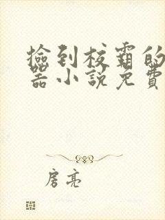 捡到校霸的遥控器小说免费阅读