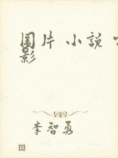 图片 小说 电影